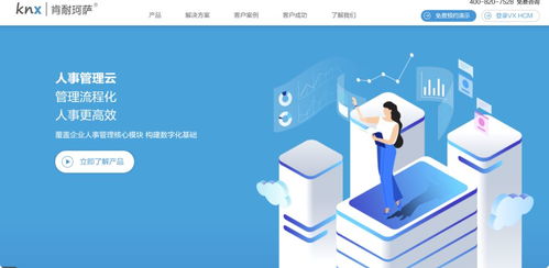 選對人事管理軟件，讓企業(yè)運(yùn)營更高效 14款主流員工管理系統(tǒng)與薪酬服務(wù)深度解析